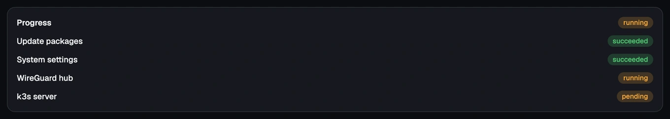 The setup wizard's live progress list, mid-run